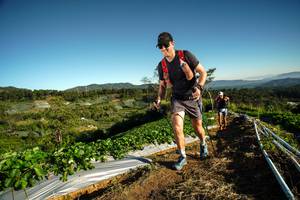 BIB: 
                            <button type="button" onclick="openModal(19116118)" class="btn btn-primary btn-sm float-right btn-popup" data-toggle="modal" data-target=".modal-high-quality">
                        <i class="fas fa-shopping-cart"></i> Add to Cart
                    </button>
                                            <button type="button" onclick="isThisMe(19116118, true)" class="btn btn-success btn-sm float-right btn-popup btn-isme hidden" data-toggle="tooltip" data-placement="bottom" title="นี่คือรูปของคุณใช่ไหม คลิกที่นี่เพื่อเอาเข้าอัลบั้ม">
                        <i class="fas fa-plus"></i> Add to album
                    </button>
                    <button type="button" onclick="isThisMe(19116118, false)" class="btn btn-warning btn-sm float-right btn-popup btn-isnotme hidden">
                        <i class="fas fa-ban"></i> Remove from album
                    </button>